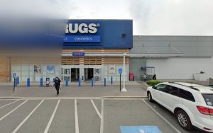 PetSmart Dog Training