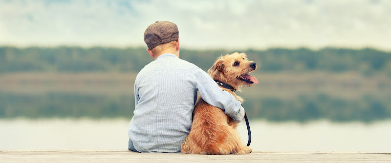 TNT Kennels & Training Center