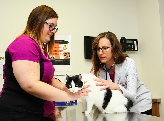 Veterinary Hospital Inc. Roussillon.