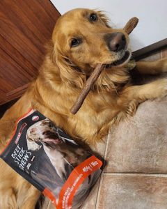 Animalerie | À chacun sa bête