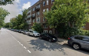 Cognitive Canines MTL