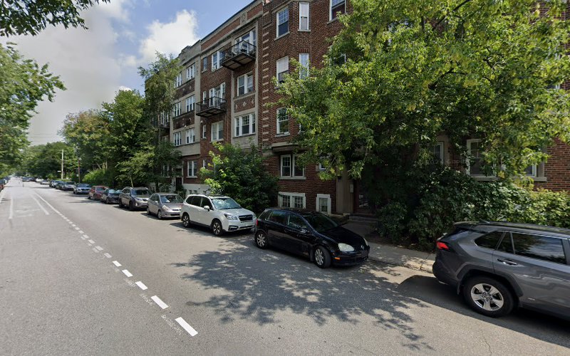 Cognitive Canines MTL