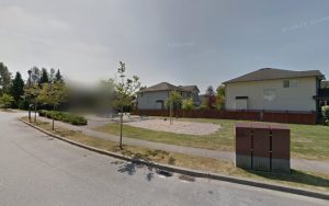 Central Animal Emergency Clinic