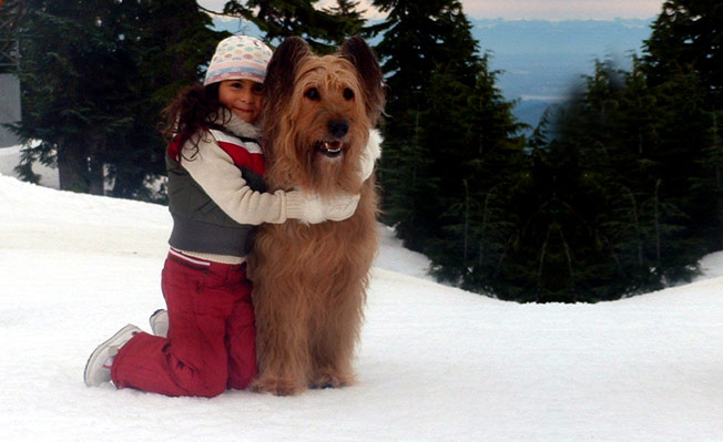 Canine Co-Stars Training