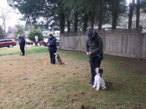 Affirmative Canine Training Solutions