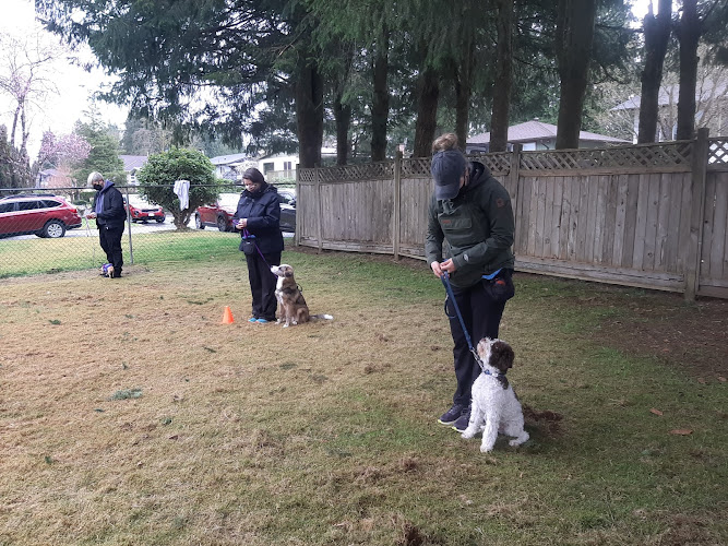 Affirmative Canine Training Solutions