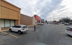 PetSmart Dog Training