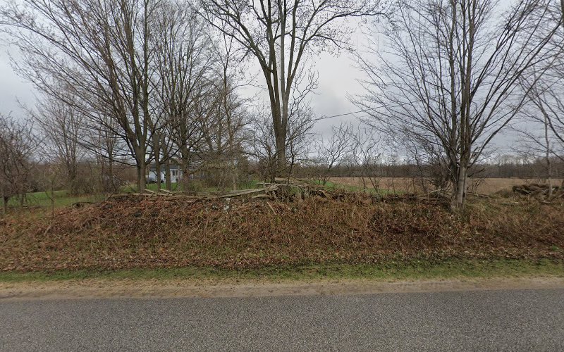 Ashstone Toy Poodles