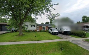 Leonbergers of norlil