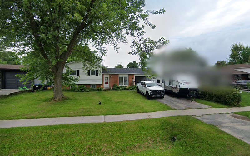 Leonbergers of norlil