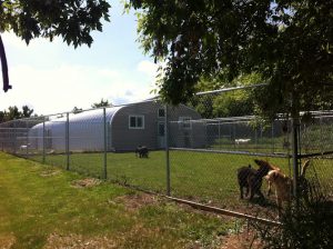 Country Lane Pet Boarding