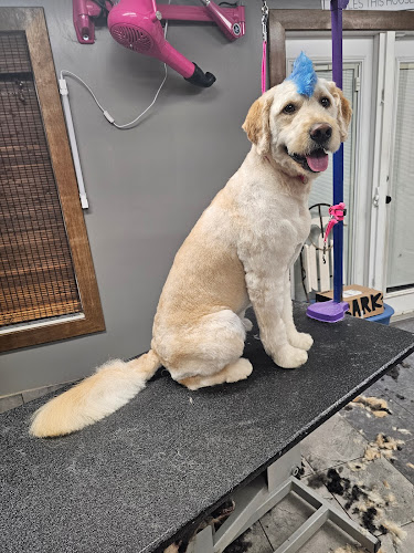 Pooteloo’s Grooming