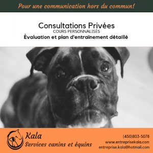 Kala, Canine and Equine Services – Education and Dressage – Montreal