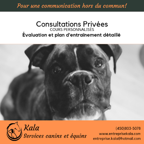 Kala, Canine and Equine Services – Education and Dressage – Montreal