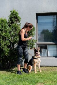 Pauline Rapp – Intervenante en comportement canin / Educateur chiots et chiens