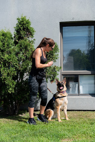Pauline Rapp – Intervenante en comportement canin / Educateur chiots et chiens