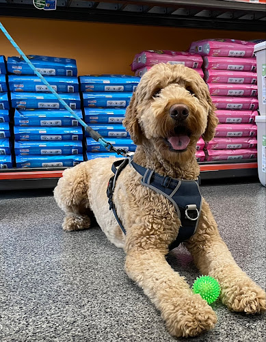 Chico – Boutique d’animaux | Rue Jean-Talon E (Saint-Léonard / Anjou)