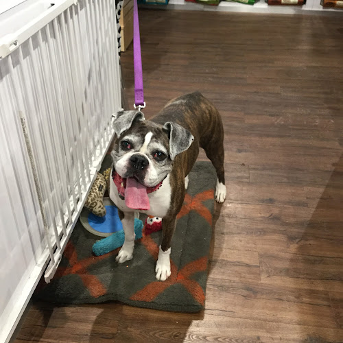 the Bone & Biscuit Co. – Edmonton Choice Meadows