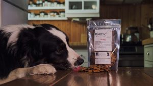 Kookeez Dog Treats Inc.