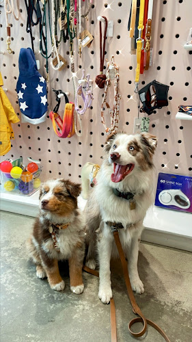 Pableen Pet Boutique