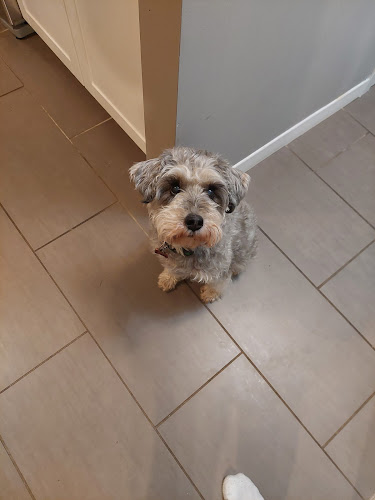 Oakcrossing Dogsitters