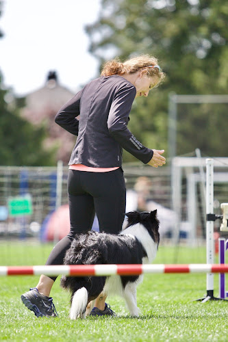 Zen Dog Canine Training Ltd.