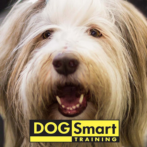 DOGSmart Training