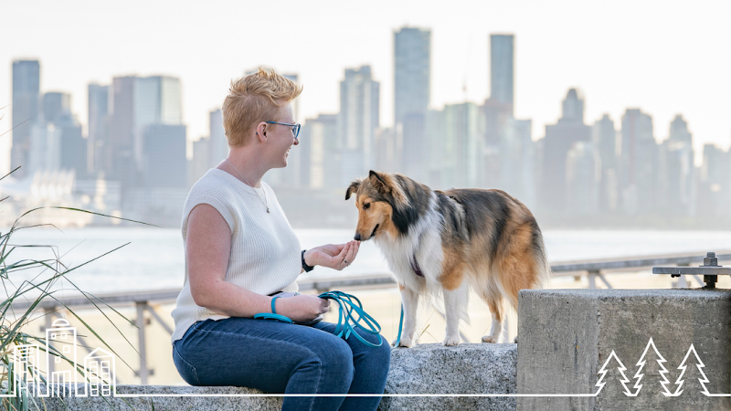 Fluff in the Forest Dog Training