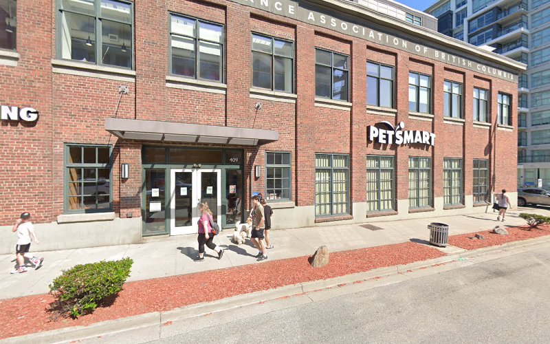 PetSmart Dog Training