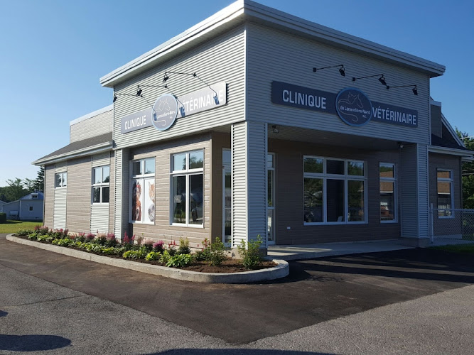 Clinique Vétérinaire De Lanaudière-Nord Inc.