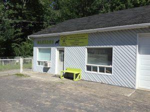 Services canins Lucky