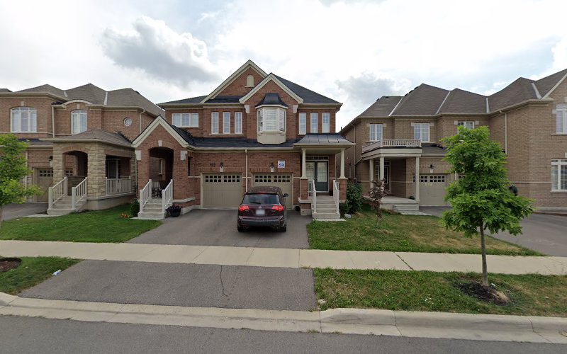 Toni’s Happy Tails