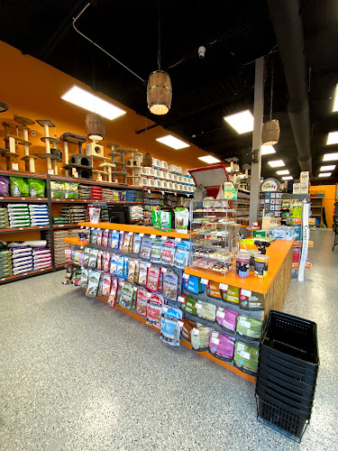 Chico – Boutique d’animaux | Saint-Lin-Laurentides