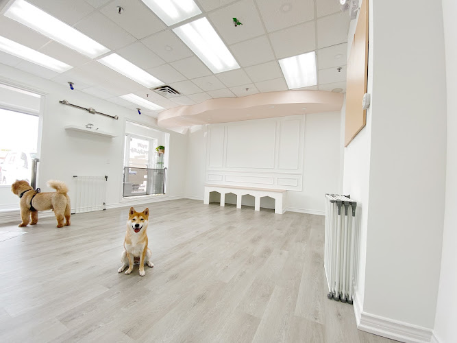 Paw Please Pet Services and Boutique