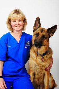 Green Lane Animal Hospital