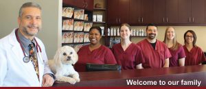 Centre Street Animal Hospital