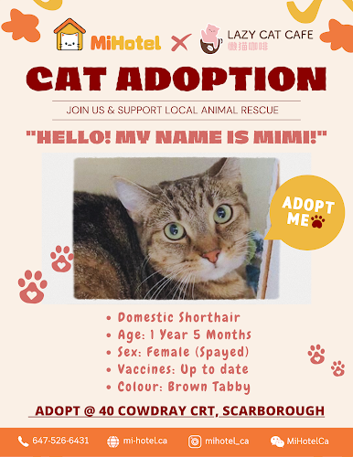 MiHotel Cat Boarding