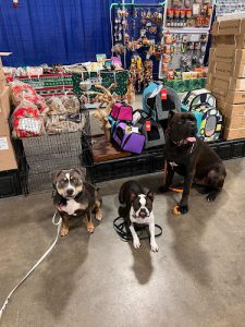 Classic K9 Academy Inc.
