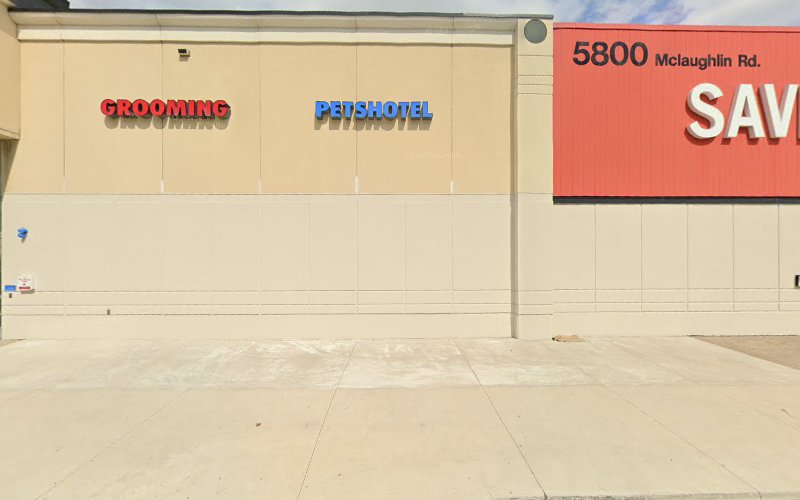PetSmart Dog Training