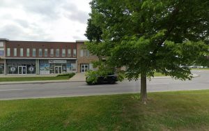 Toilettage Chien Distingué