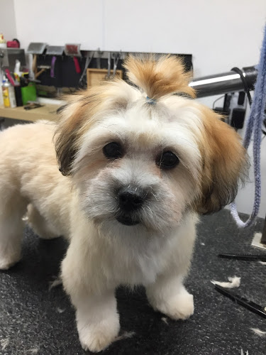 Chez Lynda Toilettage