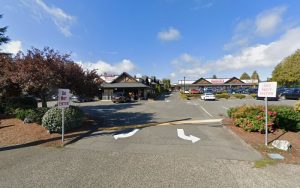 Pet Grooming By Judit