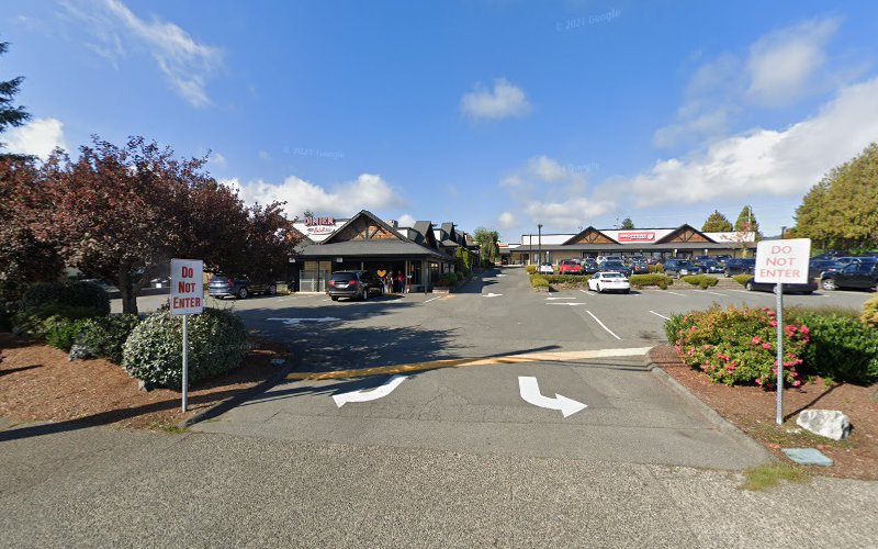 Pet Grooming By Judit