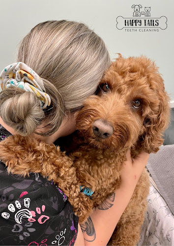 Seashell Canine Care