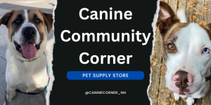 Canine Community Corner