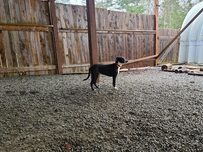 Dogwood Lodge Pet Retreat Inc.