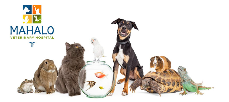 Mahalo Veterinary Hospital