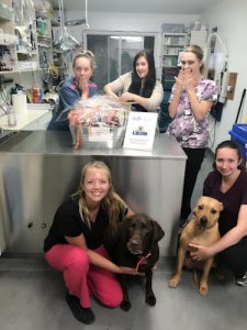 Petroglyph Animal Hospital