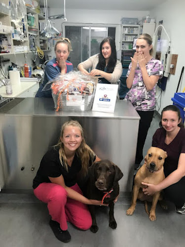 Petroglyph Animal Hospital