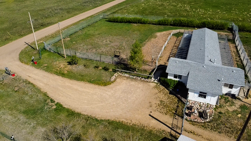 Jurassic Bark Pet Resort